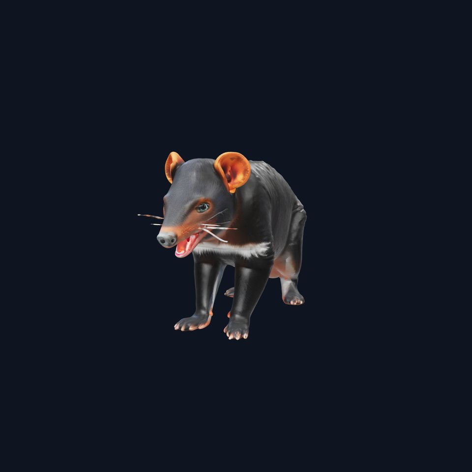 Tasmanian Devil Realistic model pack